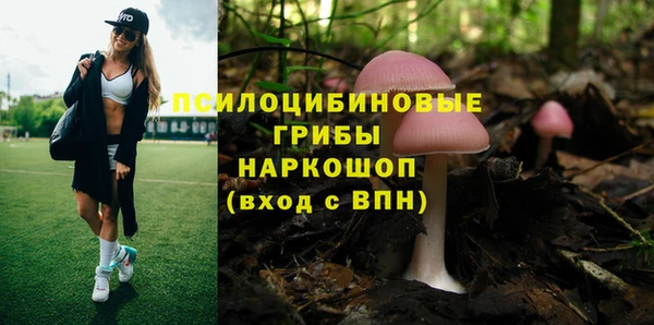 хмурый Орск