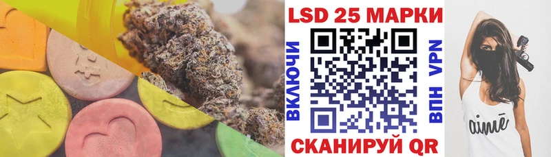 где купить наркоту  Щучье  ЛСД экстази ecstasy 