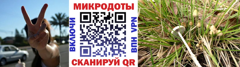 Галлюциногенные грибы ЛСД  Щучье 